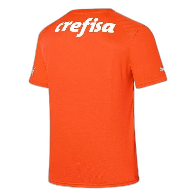 Camiseta Palmeiras 23/24 Portero III Tercera - Versión Aficionado