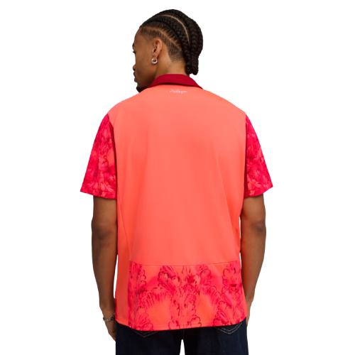 Camiseta Palmeiras 25/26 II Edición Especial - Versión Aficionado