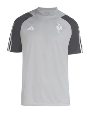 Camiseta Atlético Mineiro 24/25 Entrenamiento - Gris - Versión Aficionado